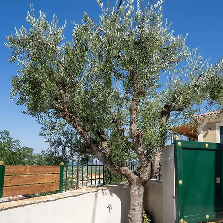 Onar House - Modern In Nature